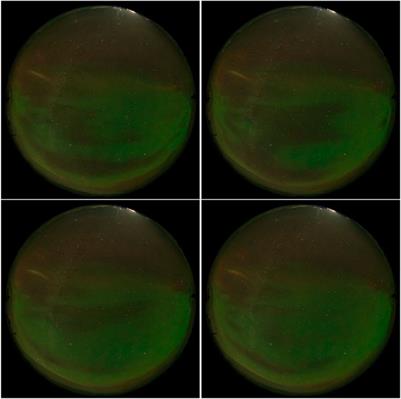 Appearance and Precipitation Characteristics of High-Latitude Pulsating Aurora